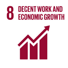 DECENT WORK AND ECONOMIC GROWTH